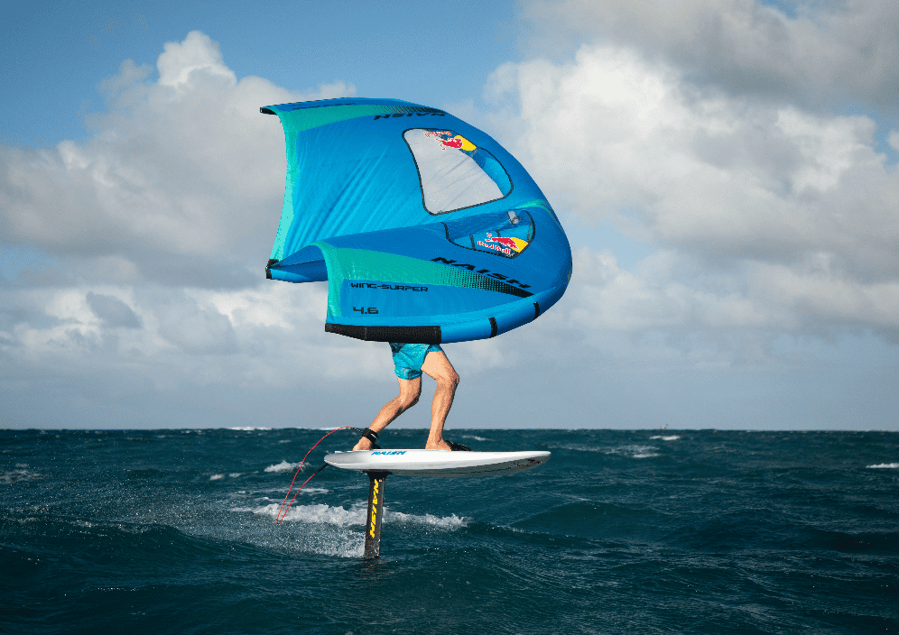 レビュー高評価の商品！ 2021 NAISH WING SURFER LE 4.6㎡ ウイング