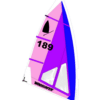 Windsurfer Sail 5.7